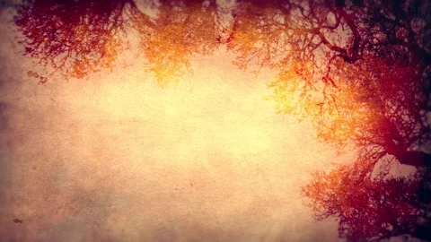 Warm Trees with Falling Leaves Autumn Theme Looping Motion Background Stock Footage 143026095