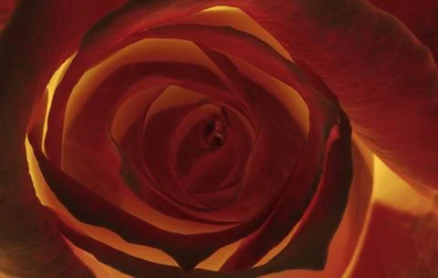 Warm vortex Stock Illustration