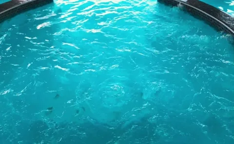 Warm water in a jacuzzi pool in a resort luxury hotel . Strong water pressure in Vídeo Stock 208338114