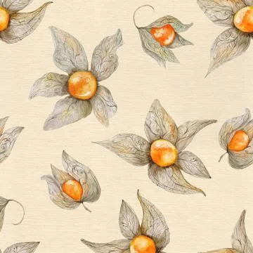 Warm Watercolor Physalis Pattern Stock Illustration