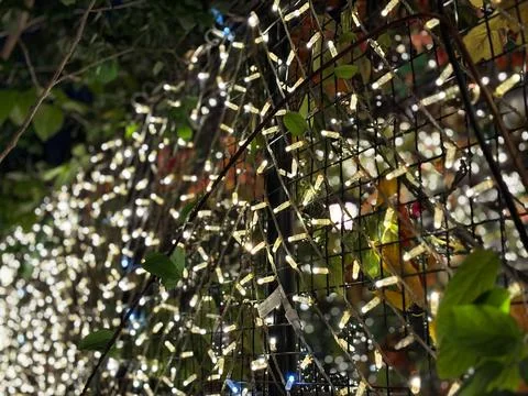 Warm-white string lights intertwined with natural foliage Stock-Fotos