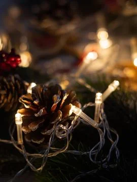 Warm white string lights on pine branch with pinecones Stock Photos