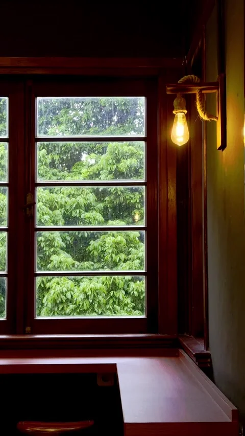 Warm window view with lamp and greenery Stock Footage 335431143