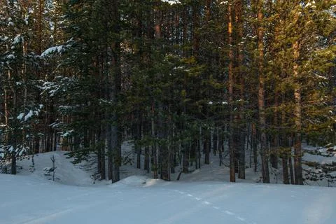 Warm Winter Foto stock