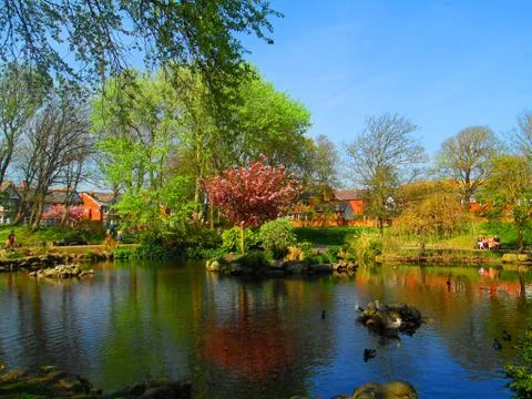 Warmest Summer Reflections 스톡 사진