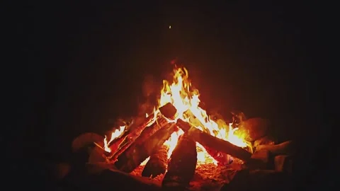 Warming fire in the fireplace. Stock Footage 317508225
