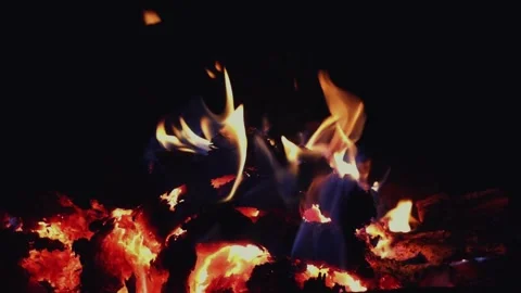 Warming fire in the fireplace. Video stock 317508262