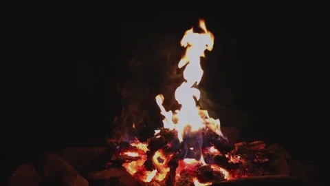 Warming fire in the fireplace. Video stock 317508277