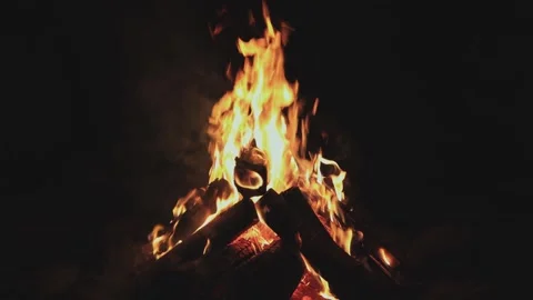 Warming fire in the fireplace. Video stock 317508293