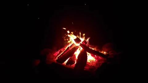 Warming fire in the fireplace. Video stock 317508504