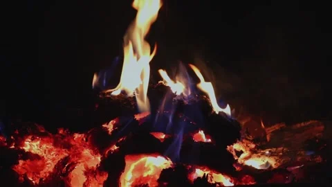 Warming fire in the fireplace. Video stock 318054800