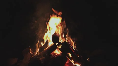 Warming fire in the fireplace. Video stock 318055048