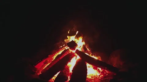 Warming fire in the fireplace. Video stock 318055678
