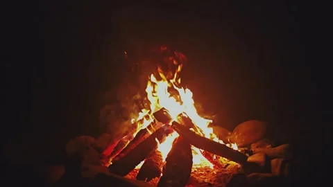 Warming fire in the fireplace. Видео 321423076