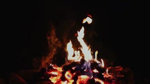 Warming fire in the fireplace. Видео 321423270