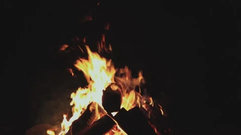 Warming fire in the fireplace. Видео 321423299