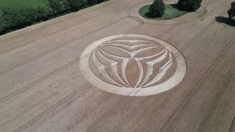 Warminster crop circle 2023 aerial view rising above mysterious geometric Stock Footage 247238317