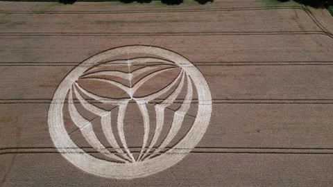 Warminster crop circle 2023 flyover aerial view above strange overnight Stock Footage 247237614