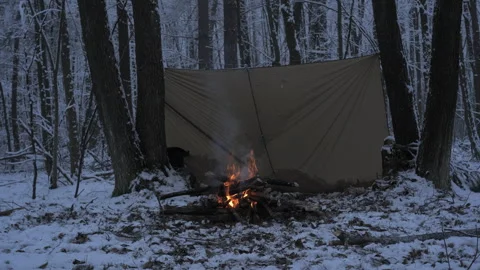 Warmth of a campfire in a snowy forest setting during a chilly evening Stock Footage 309098069