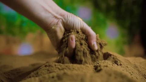 The warmth of sunlight shining on the hands of a farmer, Stock Footage 267060013