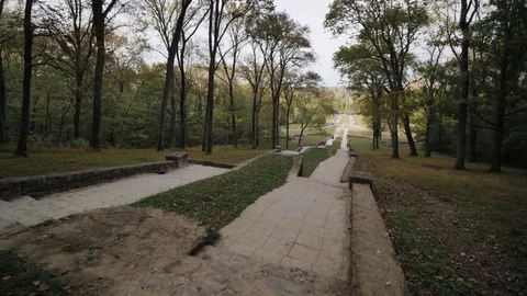 Warner Park Fall Cinematic Tracking Shot Nashville Stock Footage 82169573