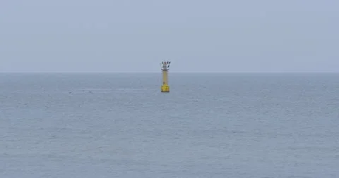 Warning beacon at sea Stock Footage 297580396