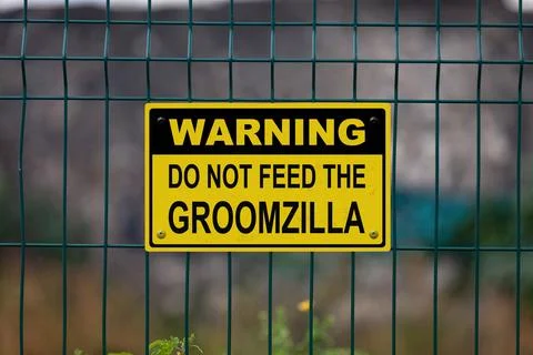 Warning, do not feed the Groomzilla Stock Photos