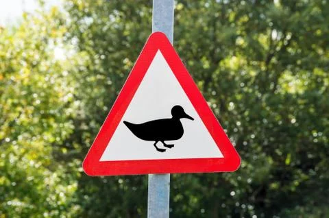 Warning of Ducks Sign Stock Photos