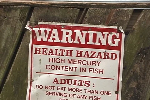 Warning High Mercury Content in Fish Sign in Florida Everglades Stock Footage 121346443