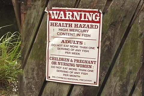 Warning High Mercury Content in Fish Sign in Florida Everglades Stock Footage 121346732