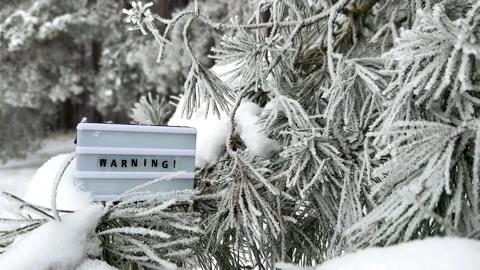 Warning message on a lightbox in frosty pine branches Stock Footage 261039948