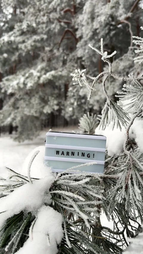 Warning message on a lightbox in frosty pine branches Stock Footage 261286445