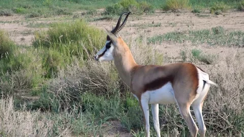 Warning Noise Vídeos de archivo 132766482