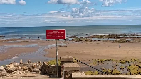 Warning sign on the beach Stock-Footage 313566305