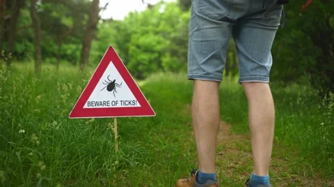 Warning sign beware of ticks in the forest. The young man turns back Stock Footage 211893371