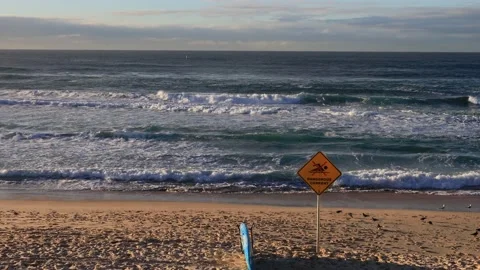 Warning sign dangerous currents after storm at Bondi beach in Sydney. Stock Footage 136729755
