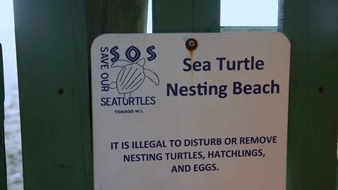 Warning sign not to disturb nesting turtles on Caribbean beach in Tobago. Stock Footage 285833300