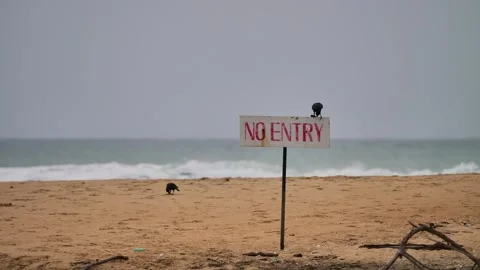 Warning sign not to enter this beach Stock Footage 259717497