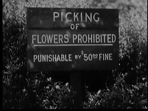 Warning sign at park Stock Footage 260252981