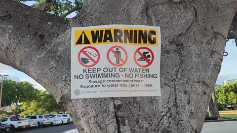 Warning sign posted on tree at Ala Moana Beach Park on August 20, 2026 Stock Footage 343356428