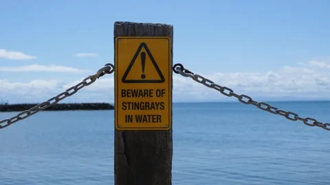 Warning Sign for Stingrays with Chain Barrier at Werribee South, Australia. Stock Footage 290819835