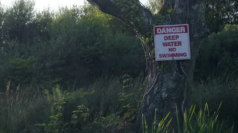 Warning Sign on Tree over Pond Stock Footage 66778060