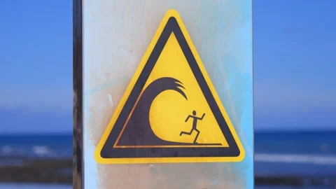 Tsunami video man on beach