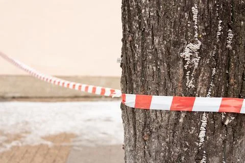 Warning tape on a tree. Danger zone, fencing. Stock Photos