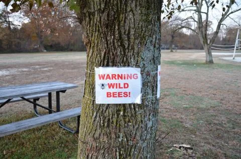 Warning wild bees sign on tree trunk with table Stock Photos