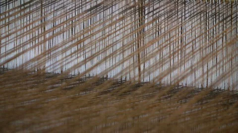 Warp loom Stock Footage 519128