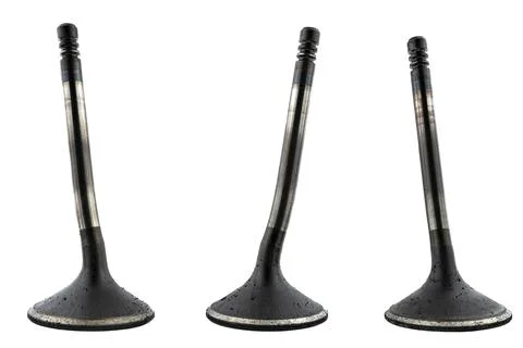 Warped three engine valves, covered with soot, isolated on a white background Foto stock