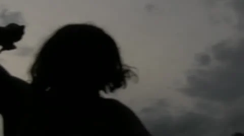 Warrior Vídeo Stock 11954528