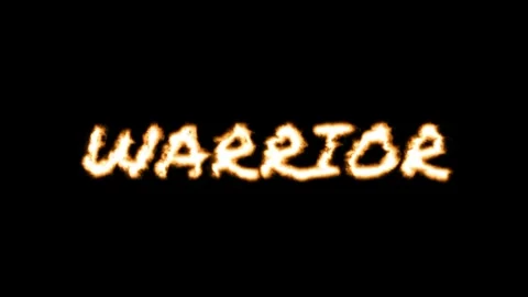 WARRIOR Stock Footage 336838921