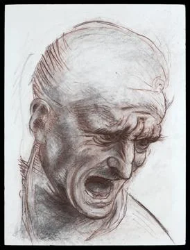 Warrior Head Study Drawing Stock-Fotos
